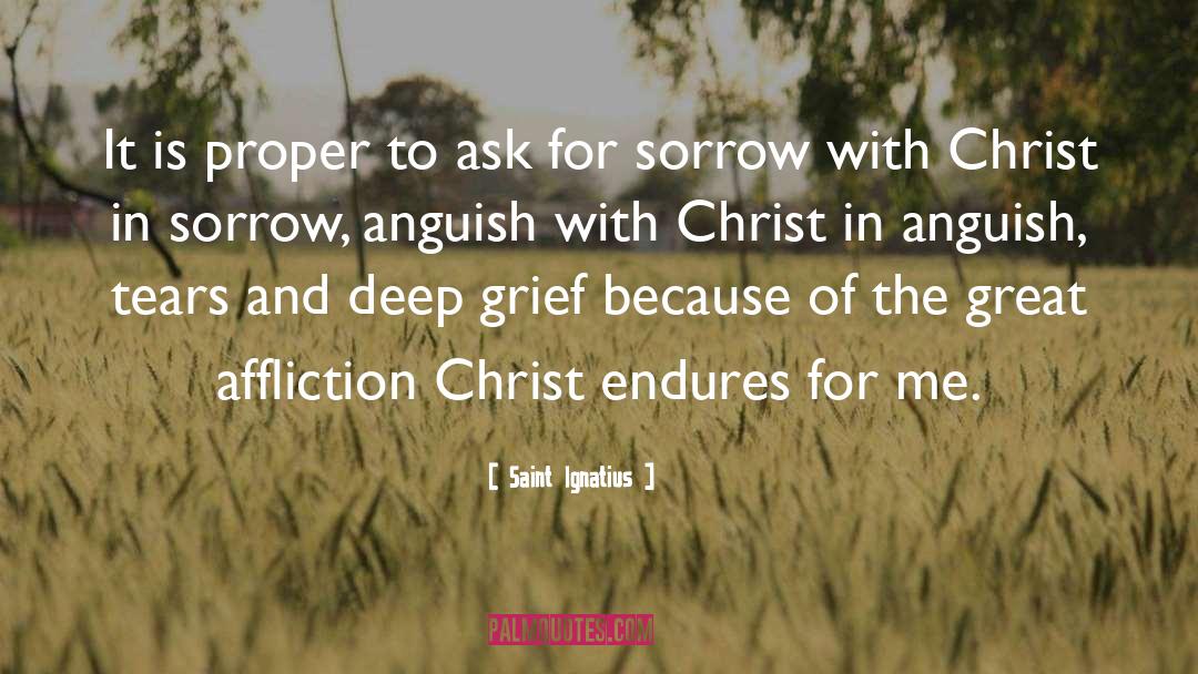 Deep Grief quotes by Saint Ignatius