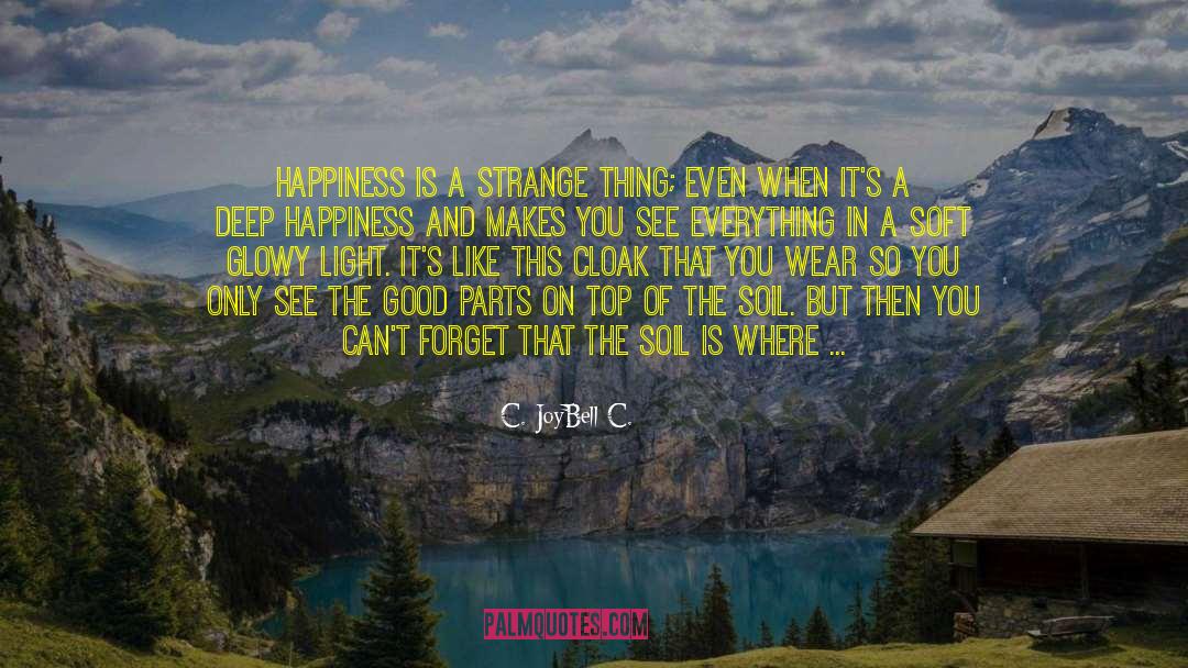 Deep Happiness quotes by C. JoyBell C.