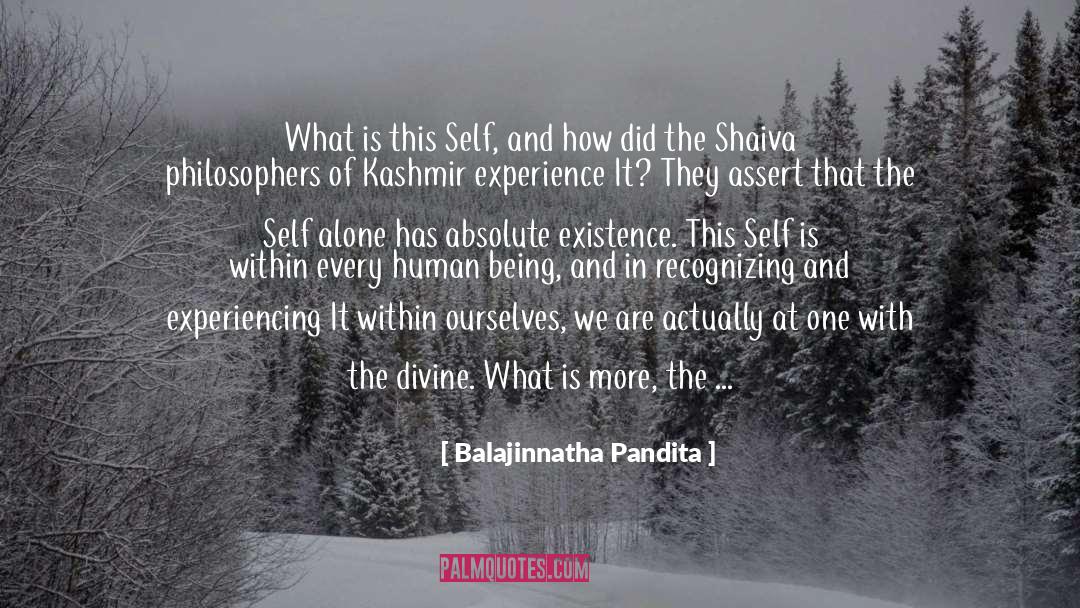 Deep Life Experience quotes by Balajinnatha Pandita