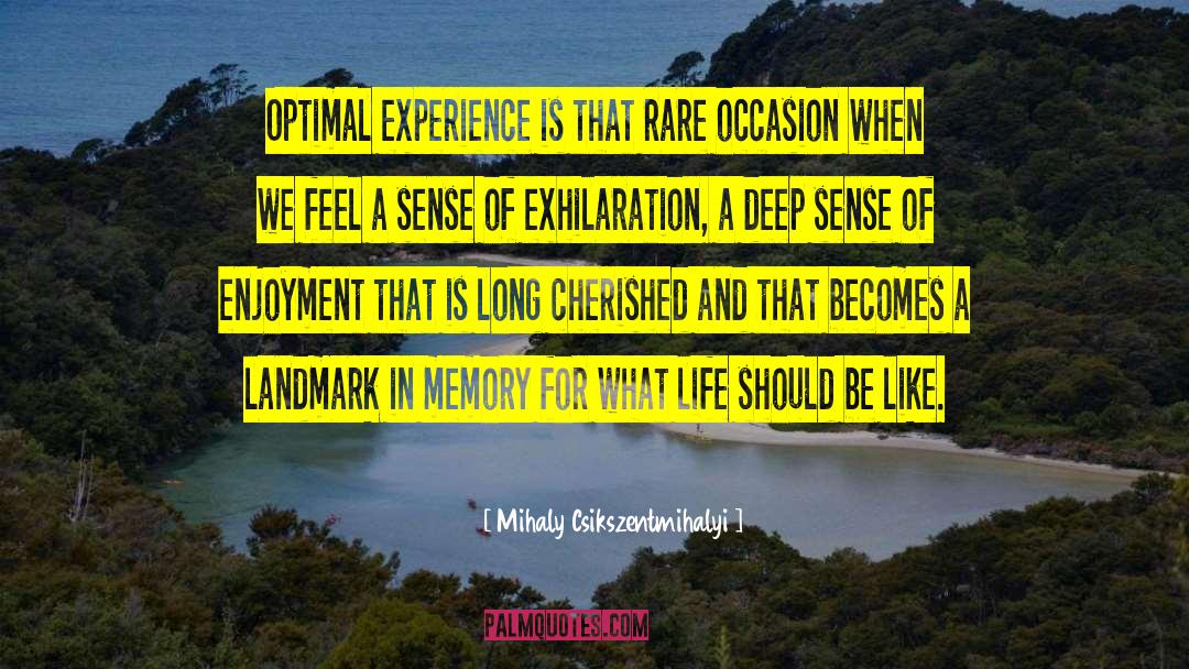 Deep Life Experience quotes by Mihaly Csikszentmihalyi