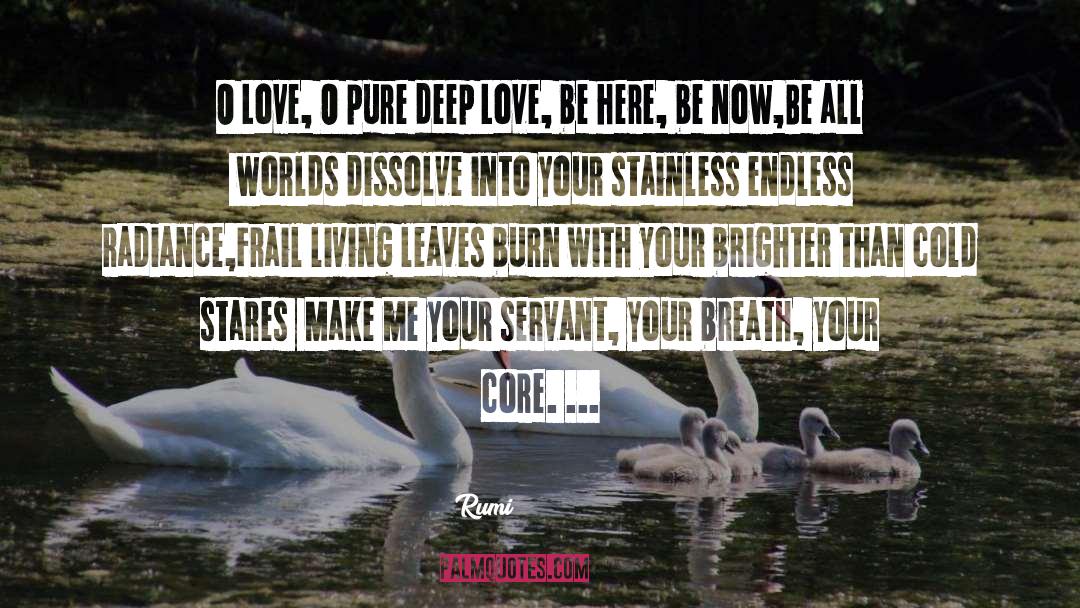 Deep Love quotes by Rumi