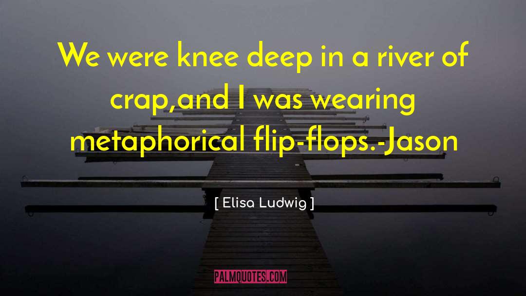 Deep Metaphorical Meaning quotes by Elisa Ludwig