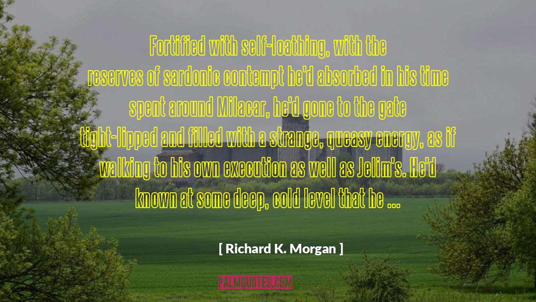 Deep Metaphorical Meaning quotes by Richard K. Morgan