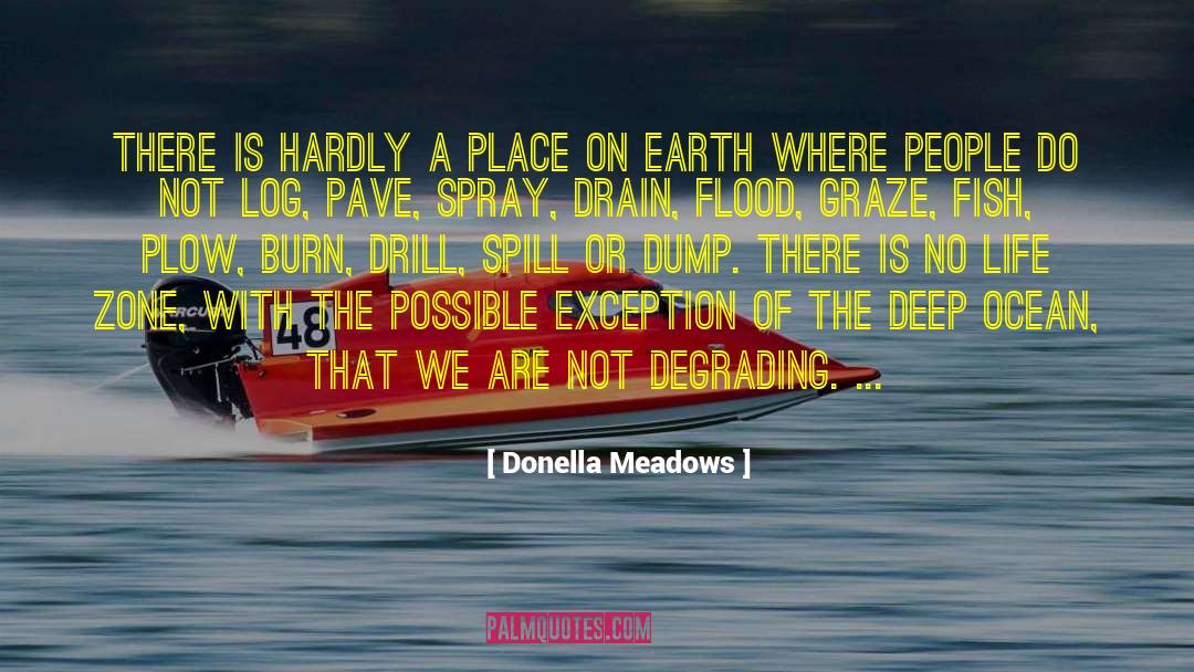 Deep Ocean quotes by Donella Meadows
