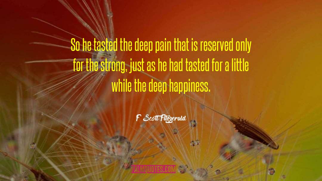 Deep Pain quotes by F Scott Fitzgerald