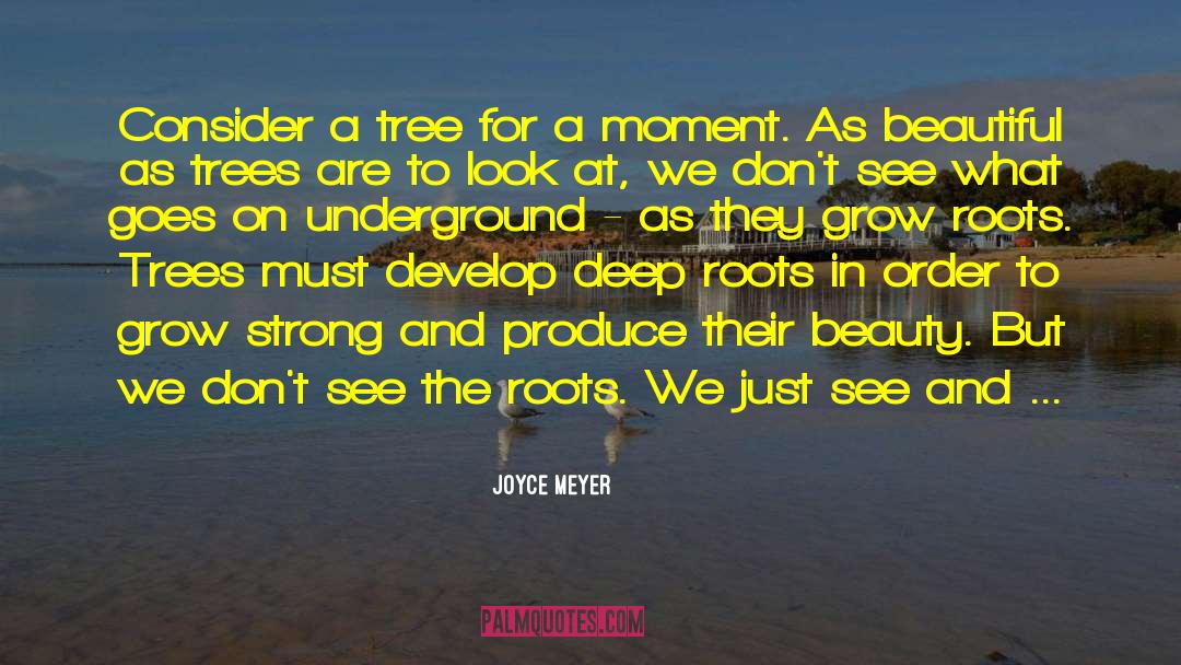 Deep Roots quotes by Joyce Meyer