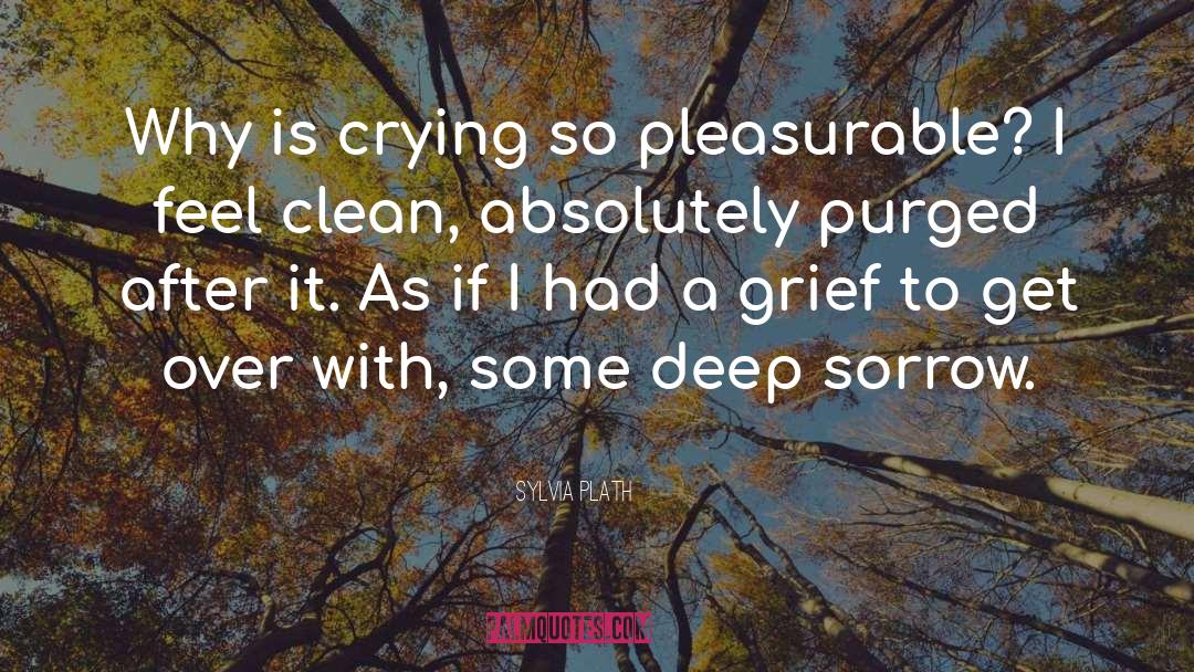 Deep Sorrow quotes by Sylvia Plath