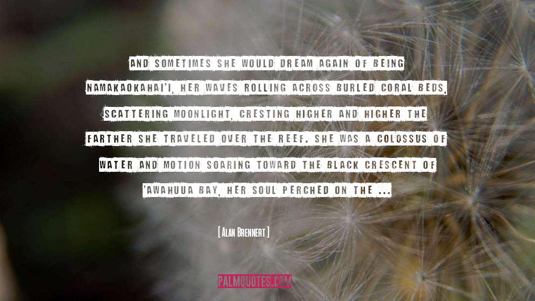 Deep Soul quotes by Alan Brennert
