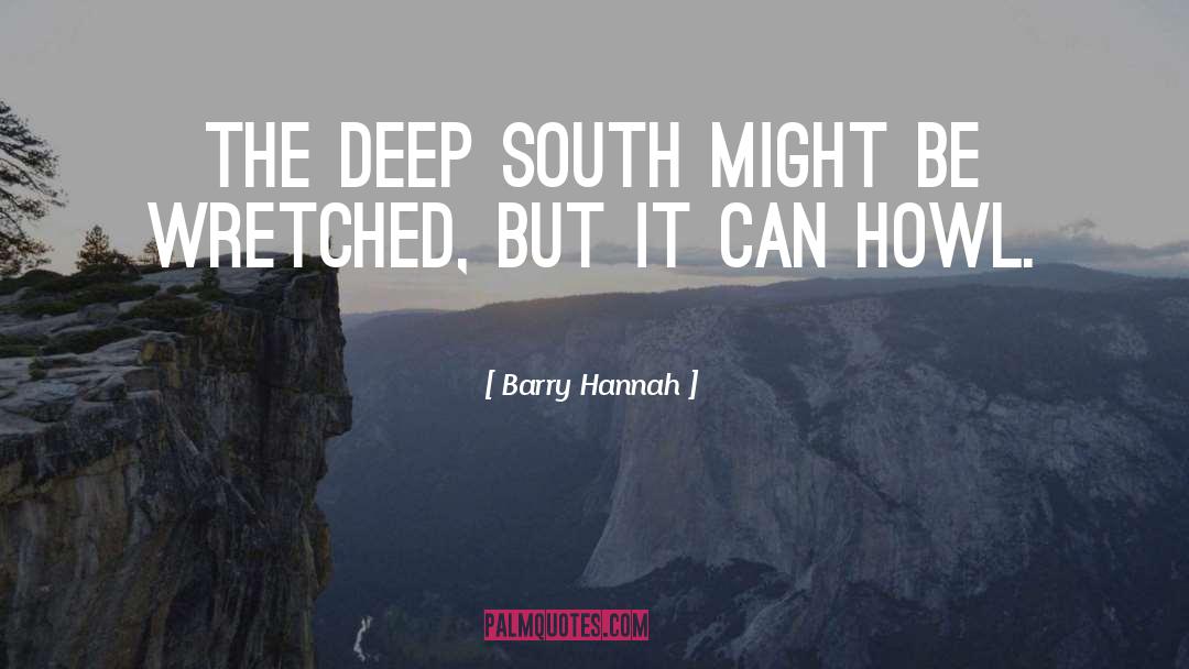 Deep South quotes by Barry Hannah