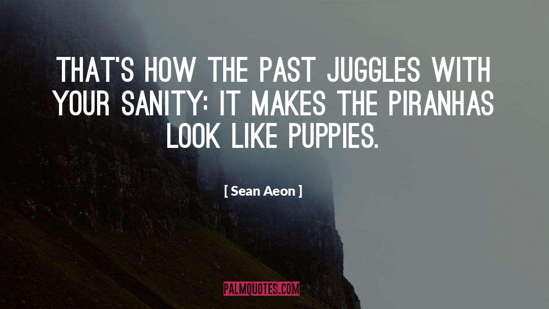 Deep Thoughts quotes by Sean Aeon