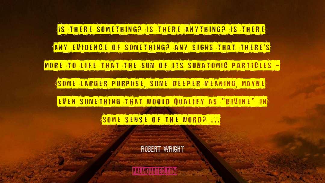 Deeper Meaning quotes by Robert Wright