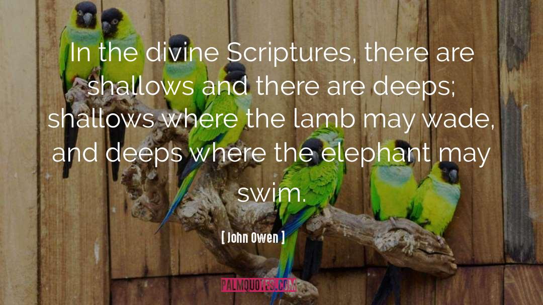 Deeps quotes by John Owen