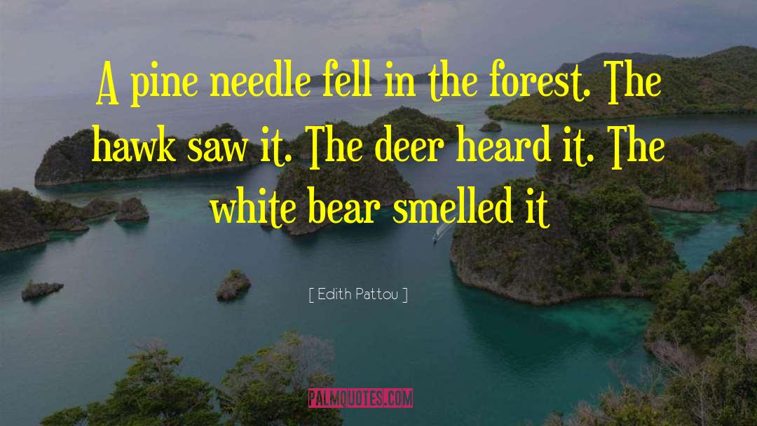 Deer Hunting quotes by Edith Pattou