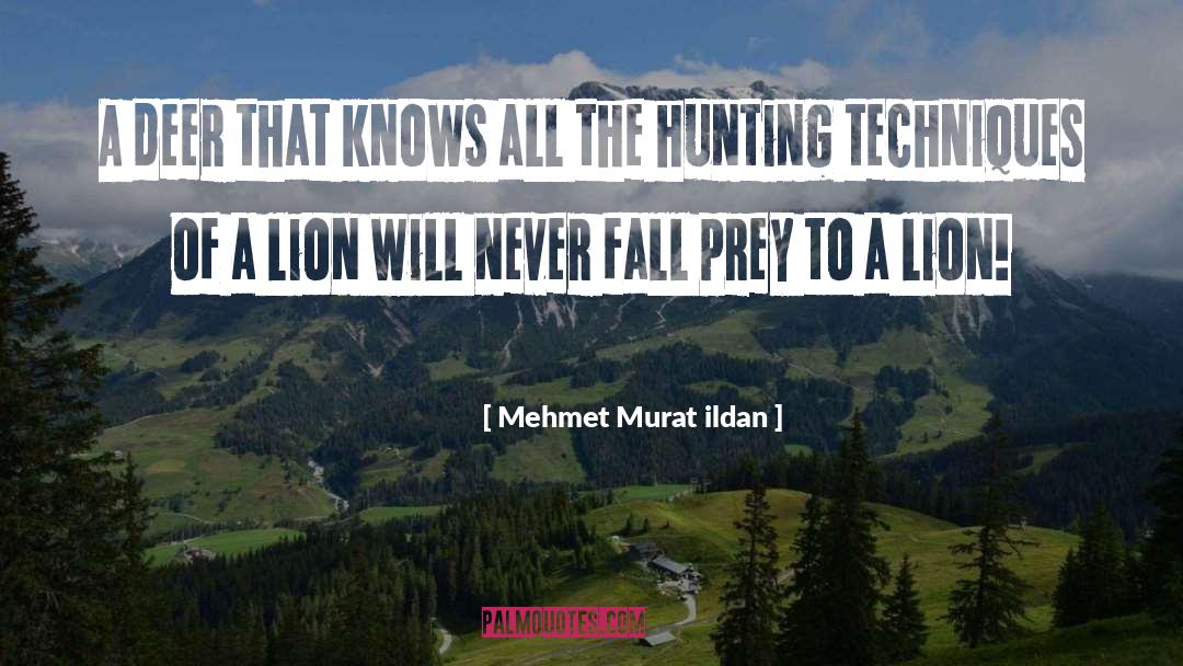 Deer quotes by Mehmet Murat Ildan