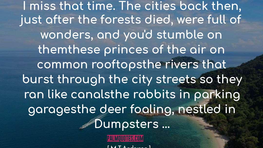 Deer quotes by M T Anderson