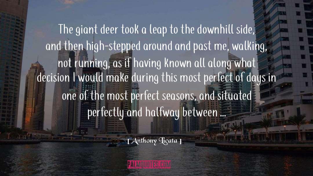 Deer quotes by Anthony Licata