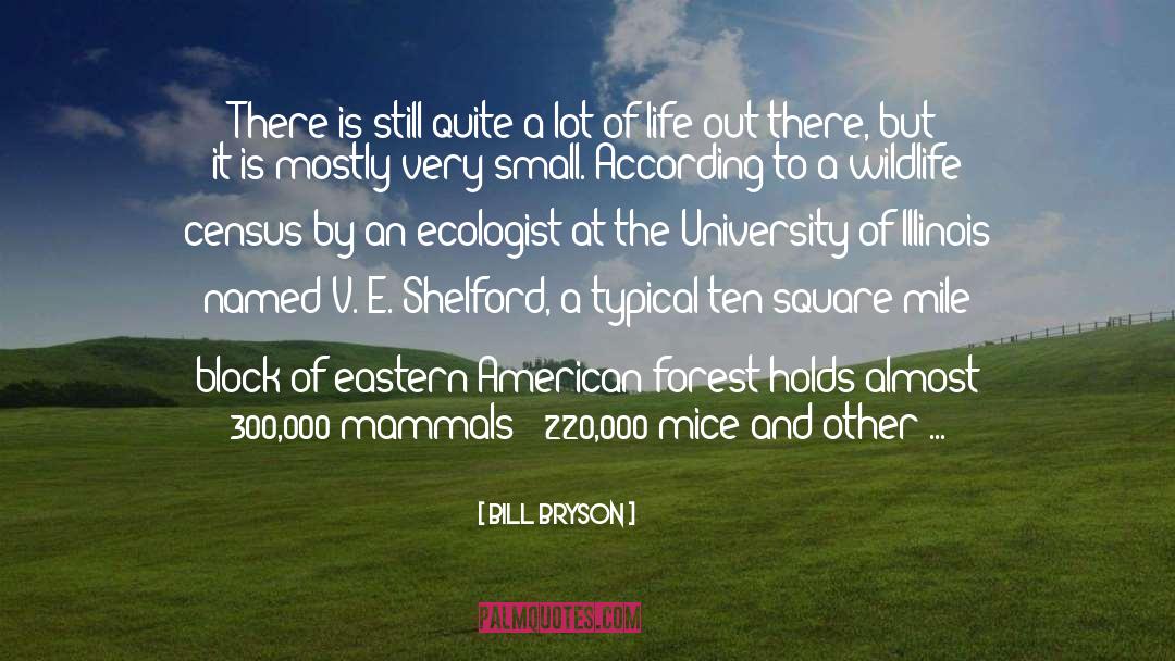 Deer quotes by Bill Bryson