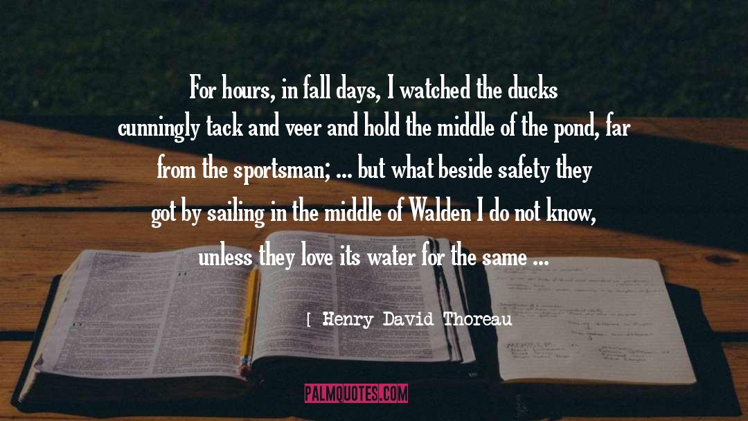 Defeathering Ducks quotes by Henry David Thoreau