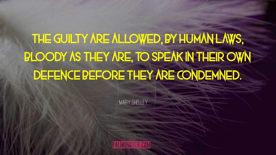 Defence quotes by Mary Shelley