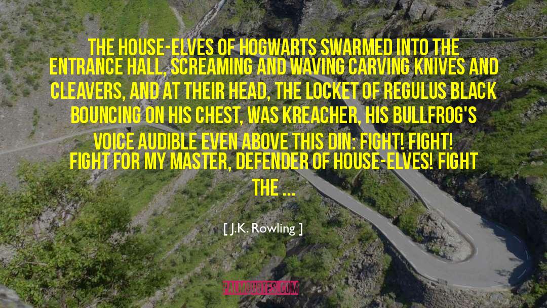 Defender quotes by J.K. Rowling
