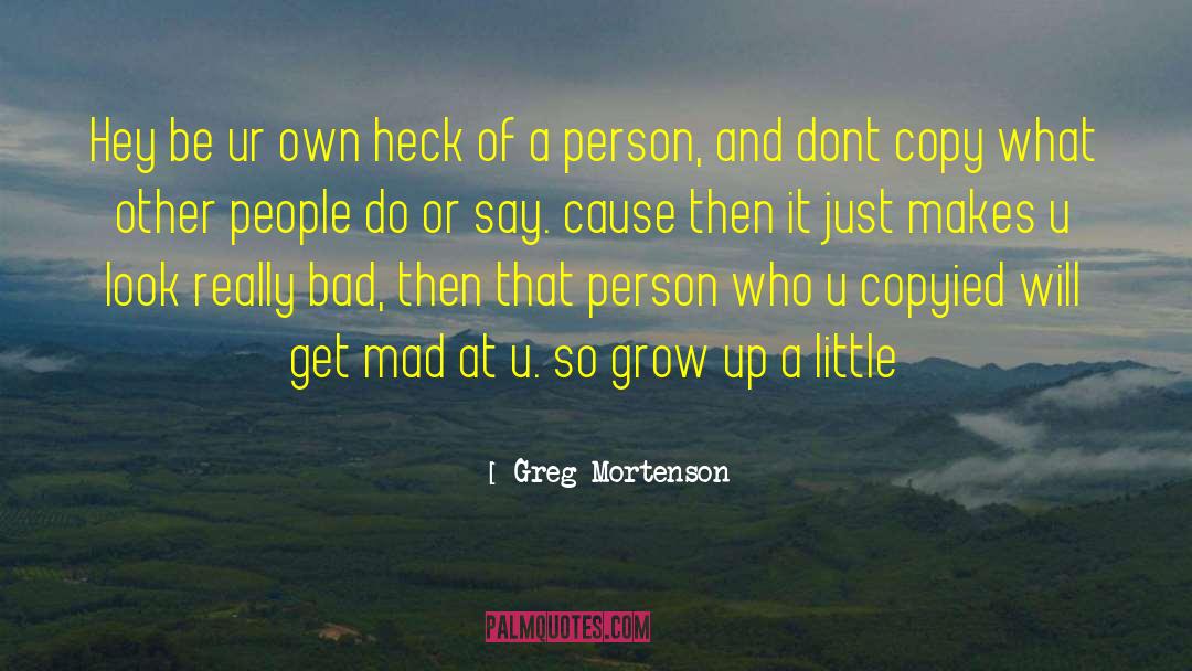 Defending Bad People quotes by Greg Mortenson