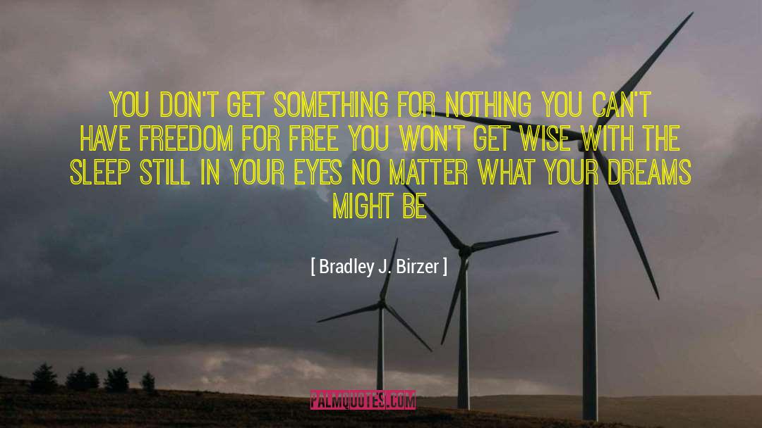 Defending Freedom quotes by Bradley J. Birzer
