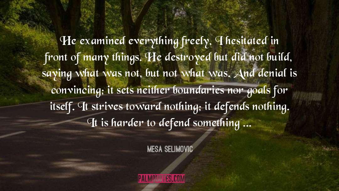 Defends quotes by Mesa Selimovic