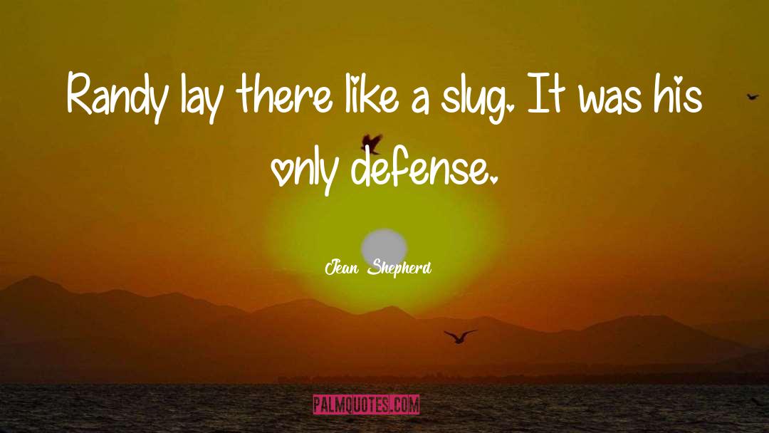 Defense Motivational quotes by Jean Shepherd