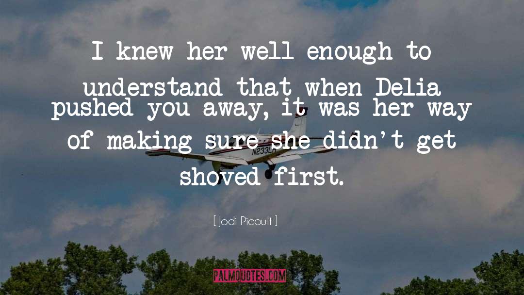 Defense quotes by Jodi Picoult