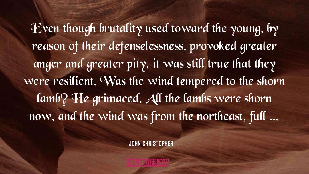 Defenselessness quotes by John Christopher