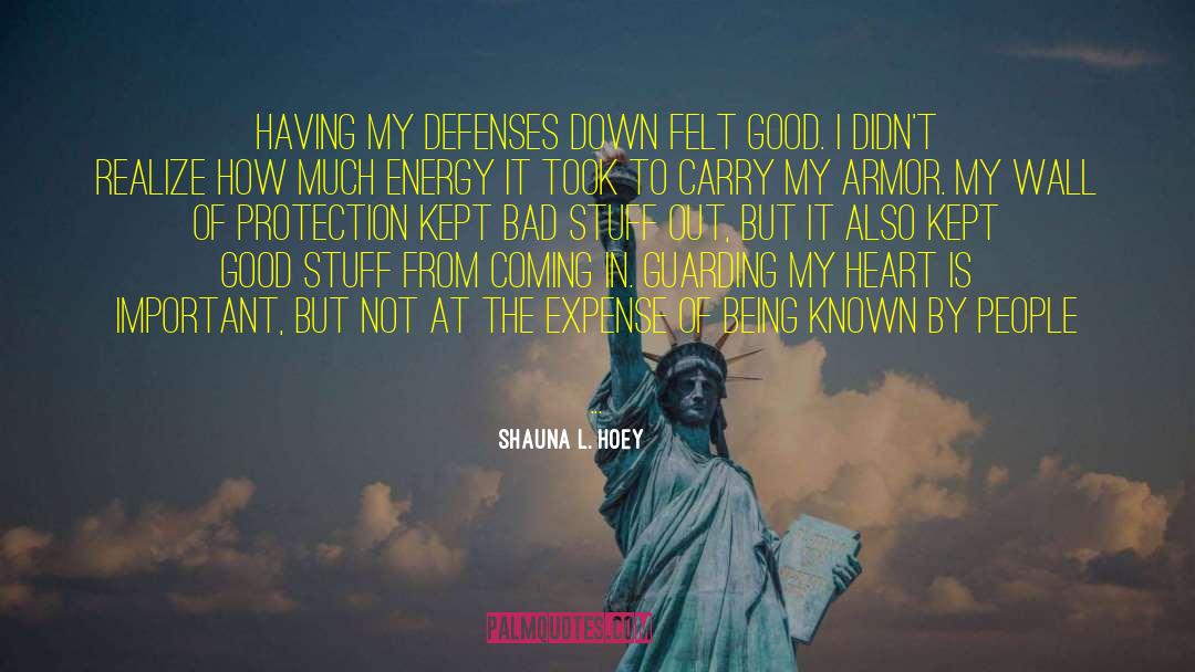 Defenses quotes by Shauna L. Hoey