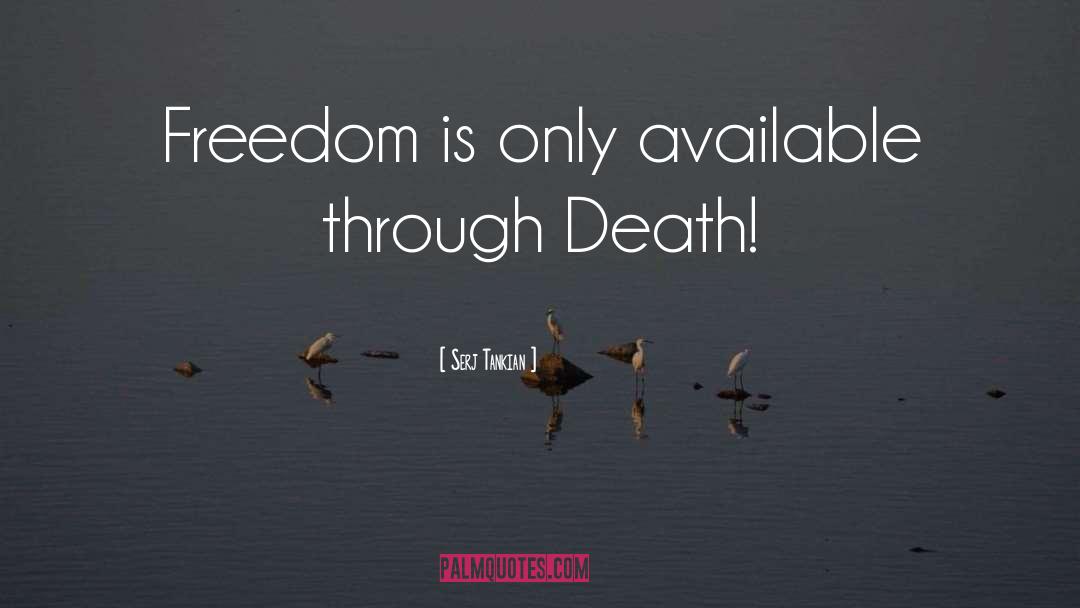 Define Freedom quotes by Serj Tankian