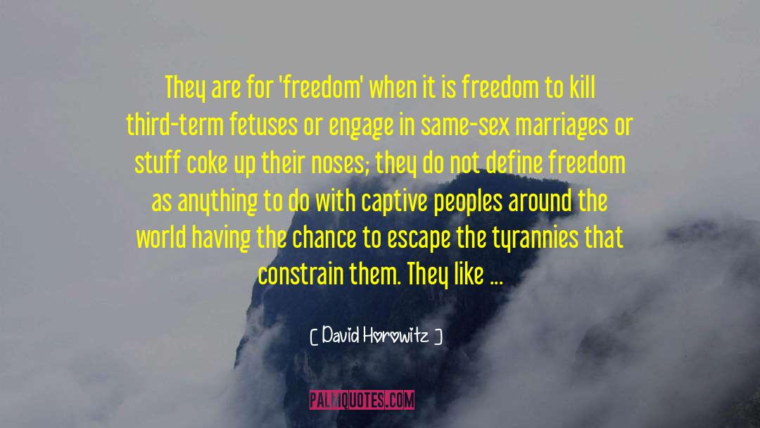 Define Freedom quotes by David Horowitz