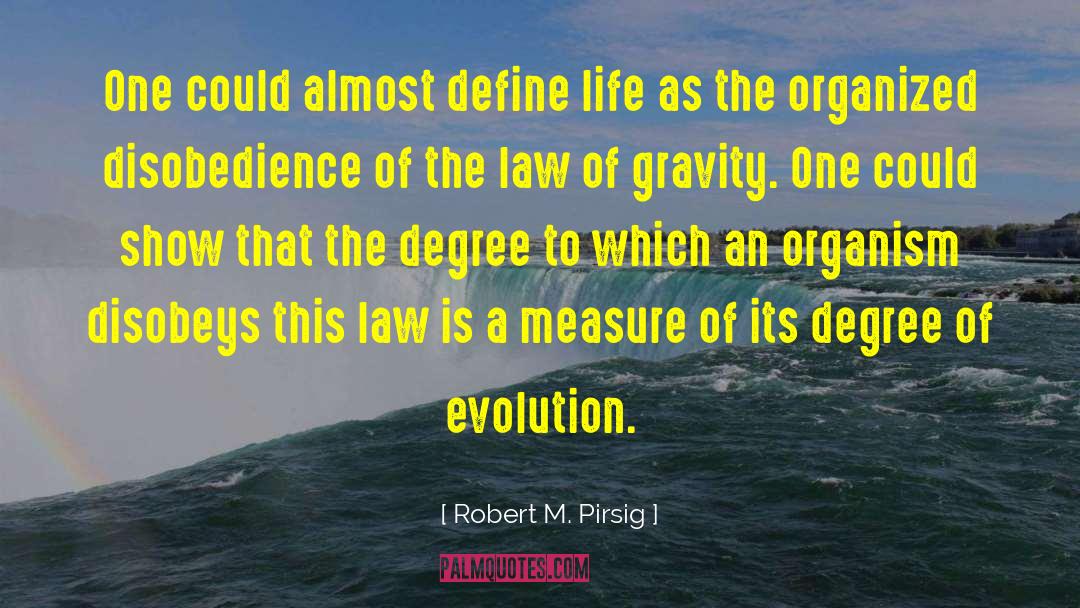 Define Life quotes by Robert M. Pirsig