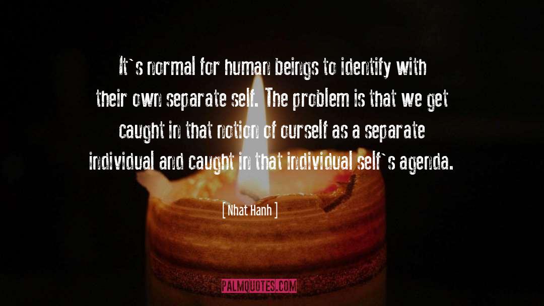 Define Normal quotes by Nhat Hanh