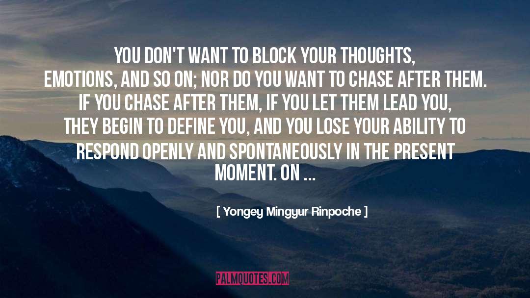 Define You quotes by Yongey Mingyur Rinpoche