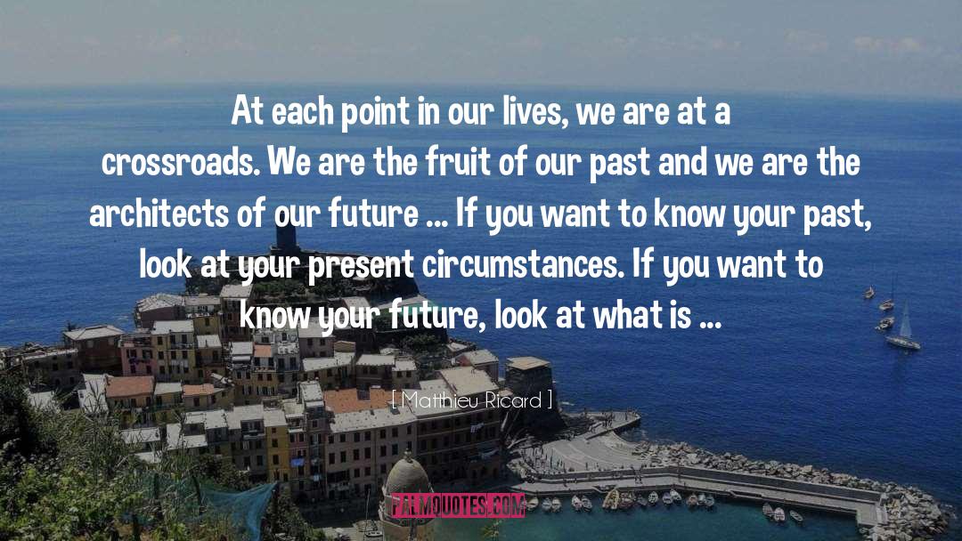Define Your Future quotes by Matthieu Ricard