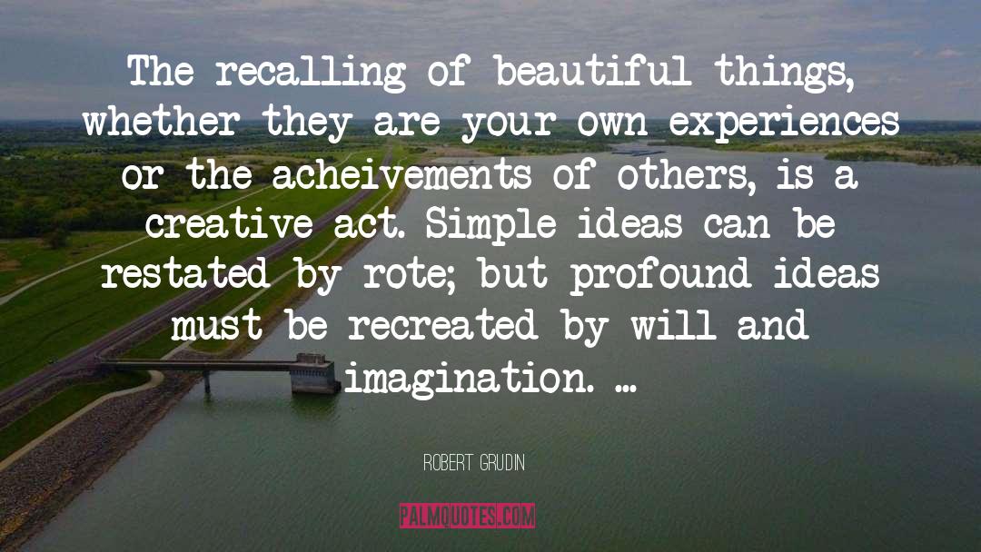 Define Your Own Beauty quotes by Robert Grudin