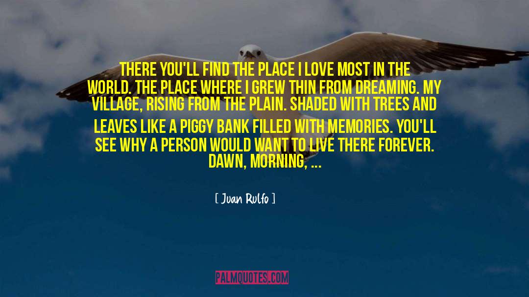 Defining Love quotes by Juan Rulfo