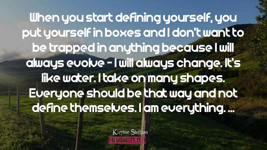 Defining Yourself quotes by Karrine Steffans