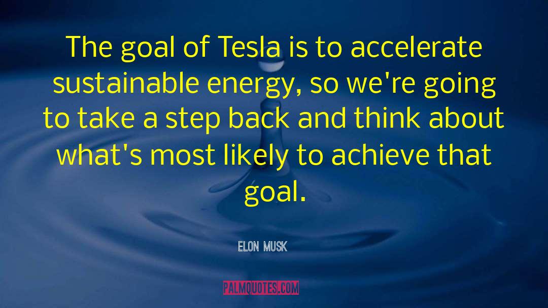 Definite Goal quotes by Elon Musk