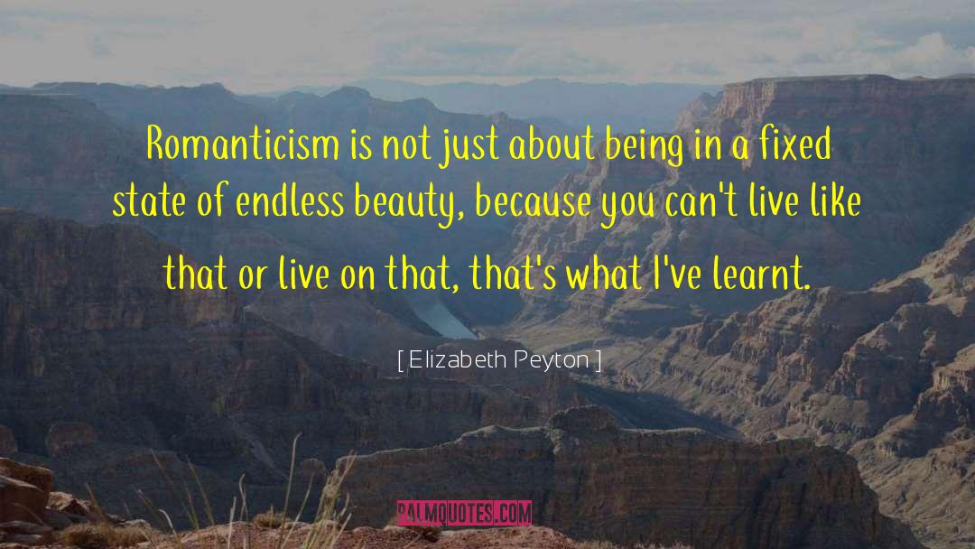 Definition Of Beauty quotes by Elizabeth Peyton