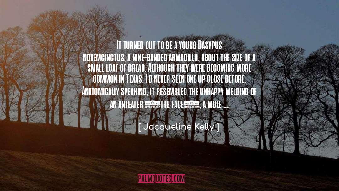 Definition Of Beauty quotes by Jacqueline Kelly