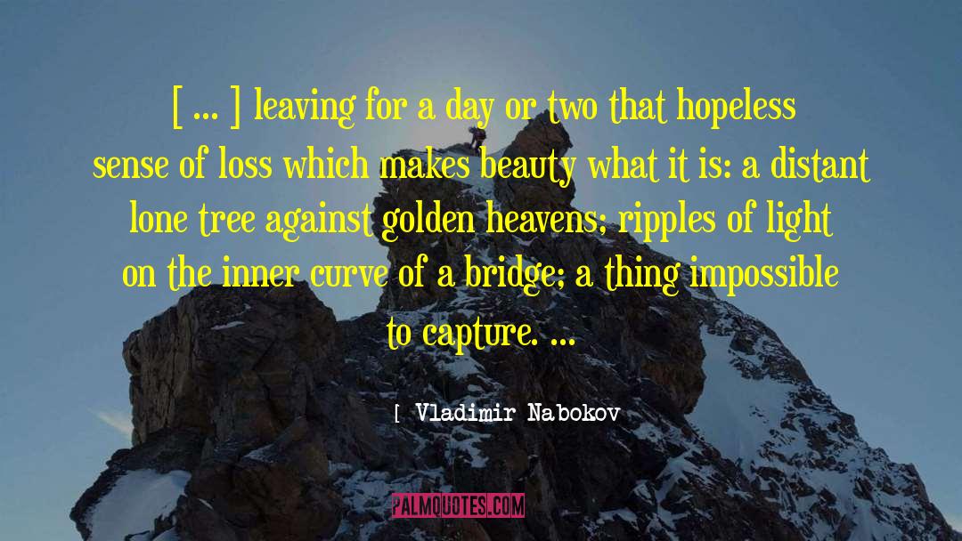 Definition Of Beauty quotes by Vladimir Nabokov