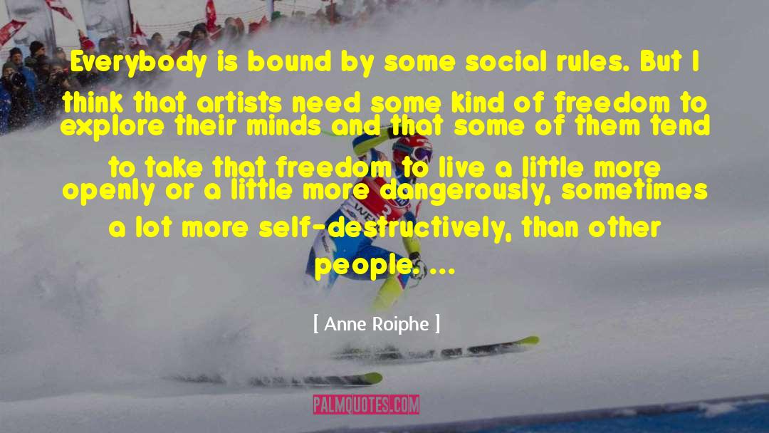 Definition Of Freedom quotes by Anne Roiphe
