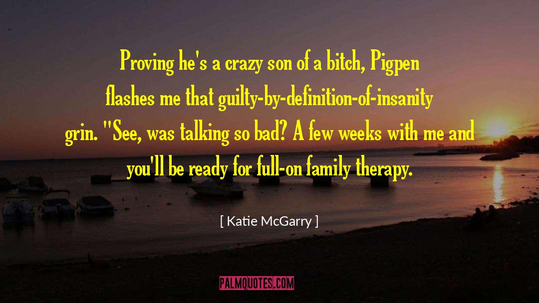 Definition Of Insanity quotes by Katie McGarry
