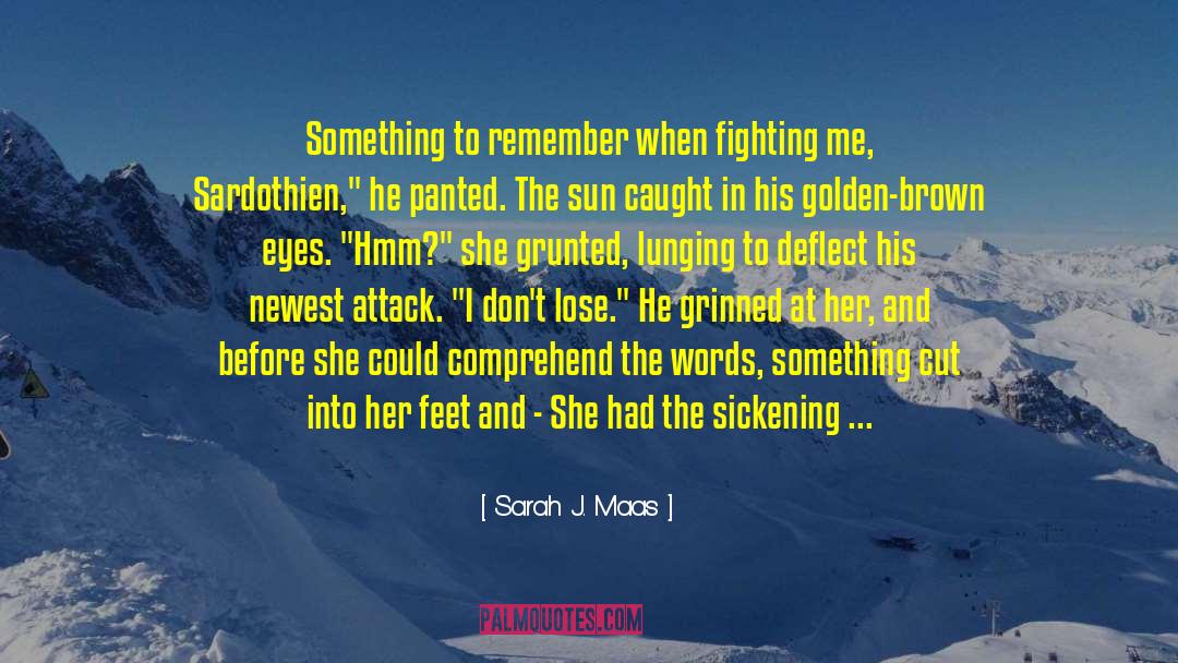 Deflect quotes by Sarah J. Maas