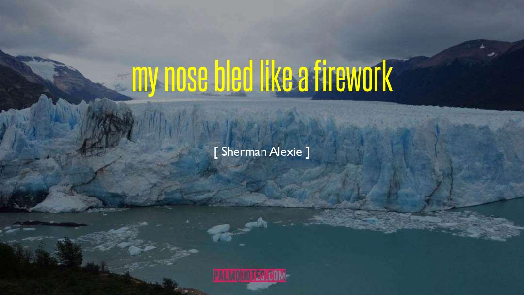 Defocused Firework quotes by Sherman Alexie