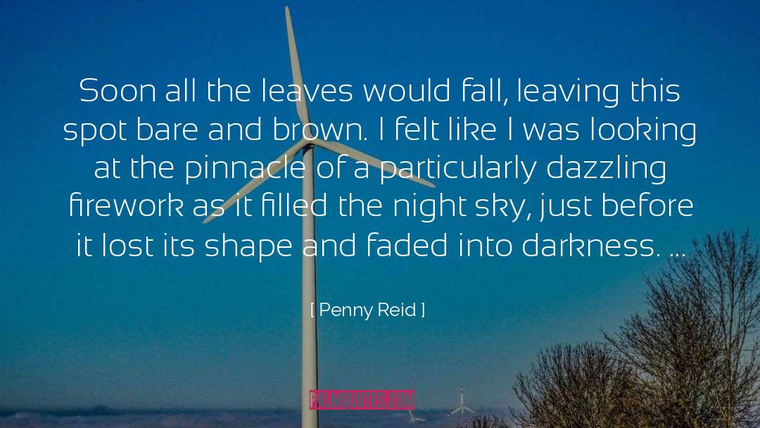 Defocused Firework quotes by Penny Reid