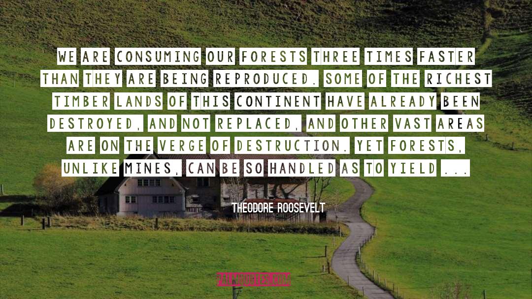 Deforestation quotes by Theodore Roosevelt